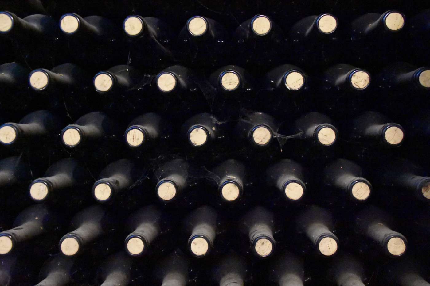 bouteilles de vins